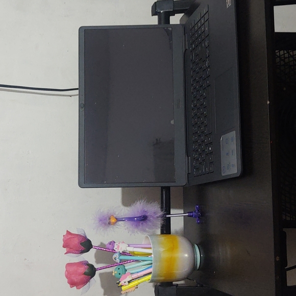 Bird Pens - Picture 7 of 7